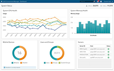 Idevnews | SAS Enters Era of ‘Open Analytics’ with Viya Platform’s ...